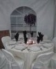 chair covers & Tablecloth