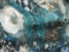 challie/rayon printed fabric with beautiful design