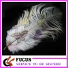 charming ostrich feather