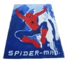children rugs-Spiderman