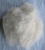 chinese 100% dehaired pure pashmina wool fiber