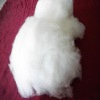 chinese 100% dehaired pure pashmina wool fibre/mongolian cashmere