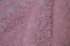 chrysanthemum hairs