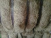 coconut coir / coconut coir fiber