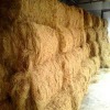 coconut coir fiber