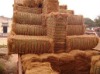 coconut coir fiber