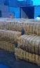 coconut coir fiber