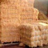 coir Fiber