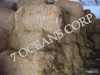 coir fiber stock