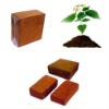 coir pith, blocks and coir products