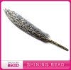 colorful design decoration goose feather