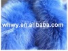 colorful fur