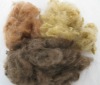 colorful polyester stable fibre