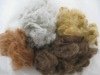 colorful staple polyester fibre