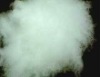 combed cashmere fiber white