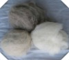 combed cashmere fibre