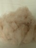 combed dehaired chenese 100% pure cashmere wool fiber