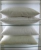compressed  Pillow