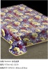 coral fleece blanket (100% polyester plush blanket,two side brushed blanket,bedding)