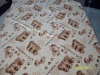 coral fleece blanket