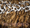 coral fleece blanket