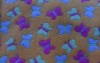 coral fleece fabric with printing