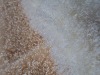 coral fleece printing fabric( direct factory)