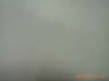 cotton 100% plain garment fabric