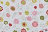cotton Printed  Terry fabric
