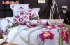 cotton bedding set