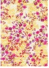 cotton eyelet embroidered and printed fabric