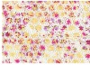 cotton eyelet embroidered and printed fabric