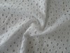 cotton eyelet flat embroidery on clothes fabric