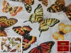 cotton fabric