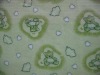 cotton flannel,printed flannel, flannel fabric