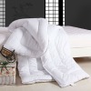 cotton hotel quilt/down quilt/duvet/polyester quilt/down comforter