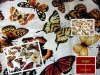 cotton plain dyed fabric