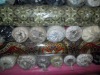 cotton printed fabric