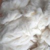 cotton suppliers