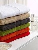 cotton terry hotel towel with border