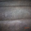 cow skin