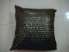 cushion