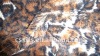cushion cover 100%polyester knitting and tricot velboa blanketfabric