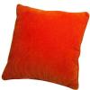 cushion insert