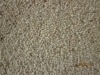 cut pile wool hotel/bedroom carpet