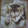 cute cat printed fleece fabric