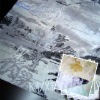 cvc burnout print shirt fabric