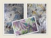 dandelion sequin embroidery fabric