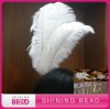 decoration ostrich feather