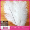 decoration ostrich feather